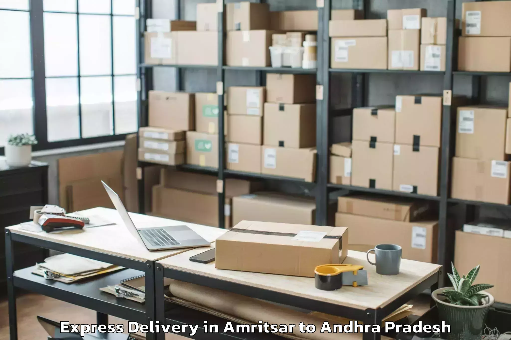 Professional Amritsar to Ulavapadu Express Delivery